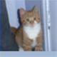tonyamanda
