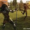 aliens vs predator fun - 2