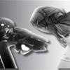 PS3 vs Wii