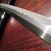 Paul Chen Katana