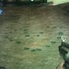 Shadowarrior Making a Heart in Killzone