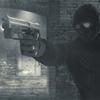 Dark Sector