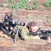 K9 Sniper Team