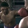 fight night