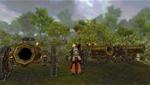 Warhammer Online: Age of Reckoning