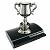 Platinum Trophy