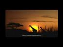 Afrika: PS3 Game Trailer