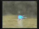 Shadow the Hedgehog - Almost Dead