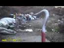 Half Real Life ( Half Life 2 in reality )