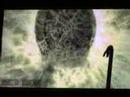 Half-Life 2: Episode 2: Owned by Antlion!