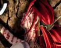 Nariko You Are Immortal