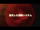 Tekken 6 PS3 Trailer
