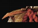 Soul Calibur 4 Teaser