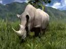 Africa for PS3 (coming soon)