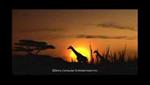 Afrika: PS3 Game Trailer