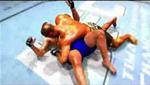 PS3 Video - UFC 2009 (PS3) Video Gameplay