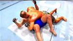 PS3 Video - New UFC Game Trailer E3 2007