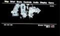 Grand Theft Auto IV Gameplay (Russian Version)