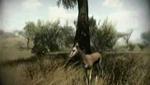 PS3 Video - Far Cry 2 teaser trailer