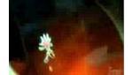 PS3 Video - sonic the hedgehog live and learn